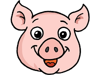 pig